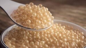 kaviar-almas-makanan-termahal-di-dunia-telur-ikan-sturgion-dibanderol-rp-300-juta-per-kilo