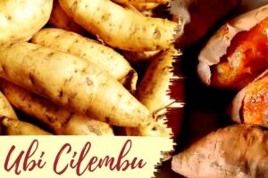 kelezatan-ubi-cilembu-dari-makanan-sumedang